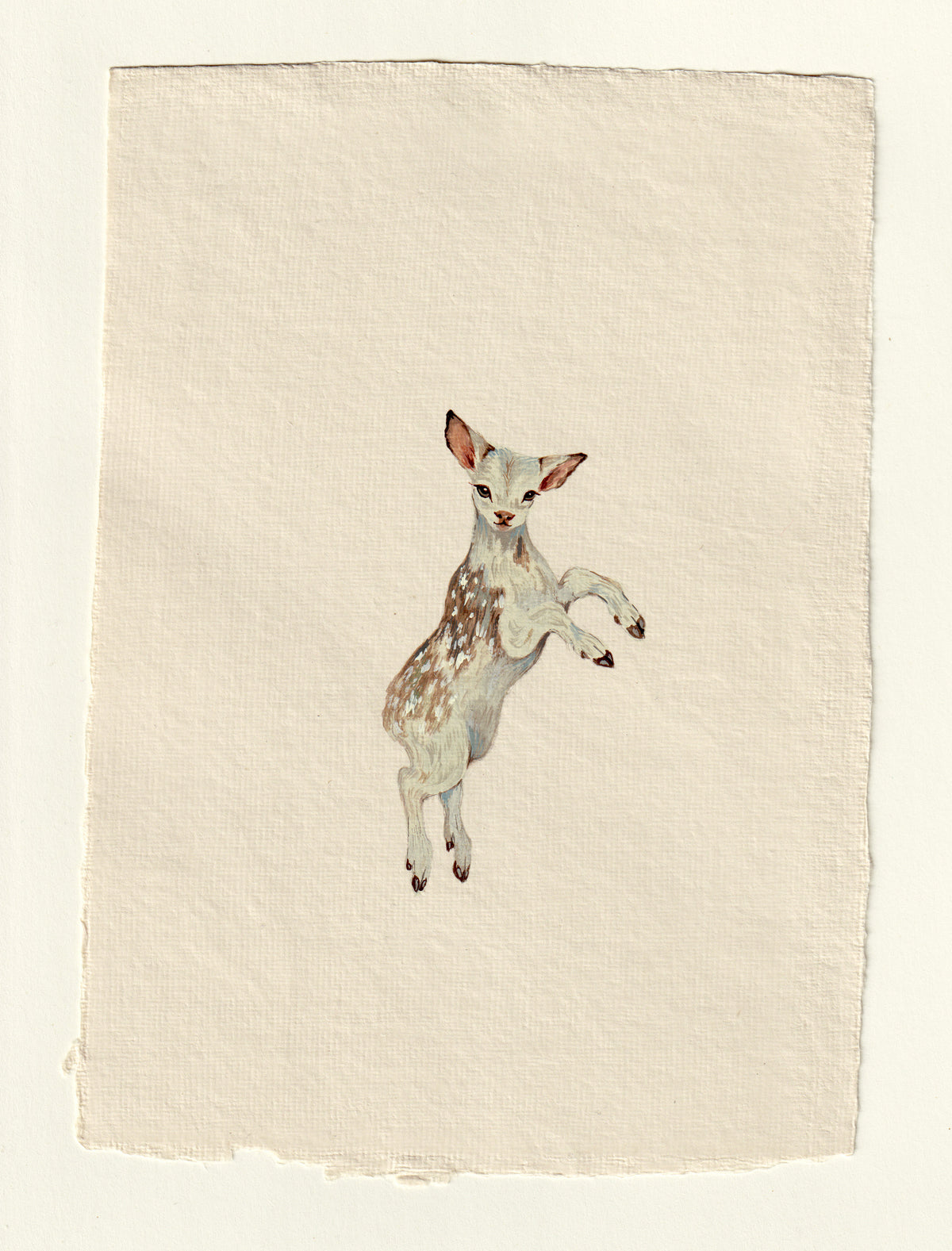 Pibald Fawn- Original Gouache Study