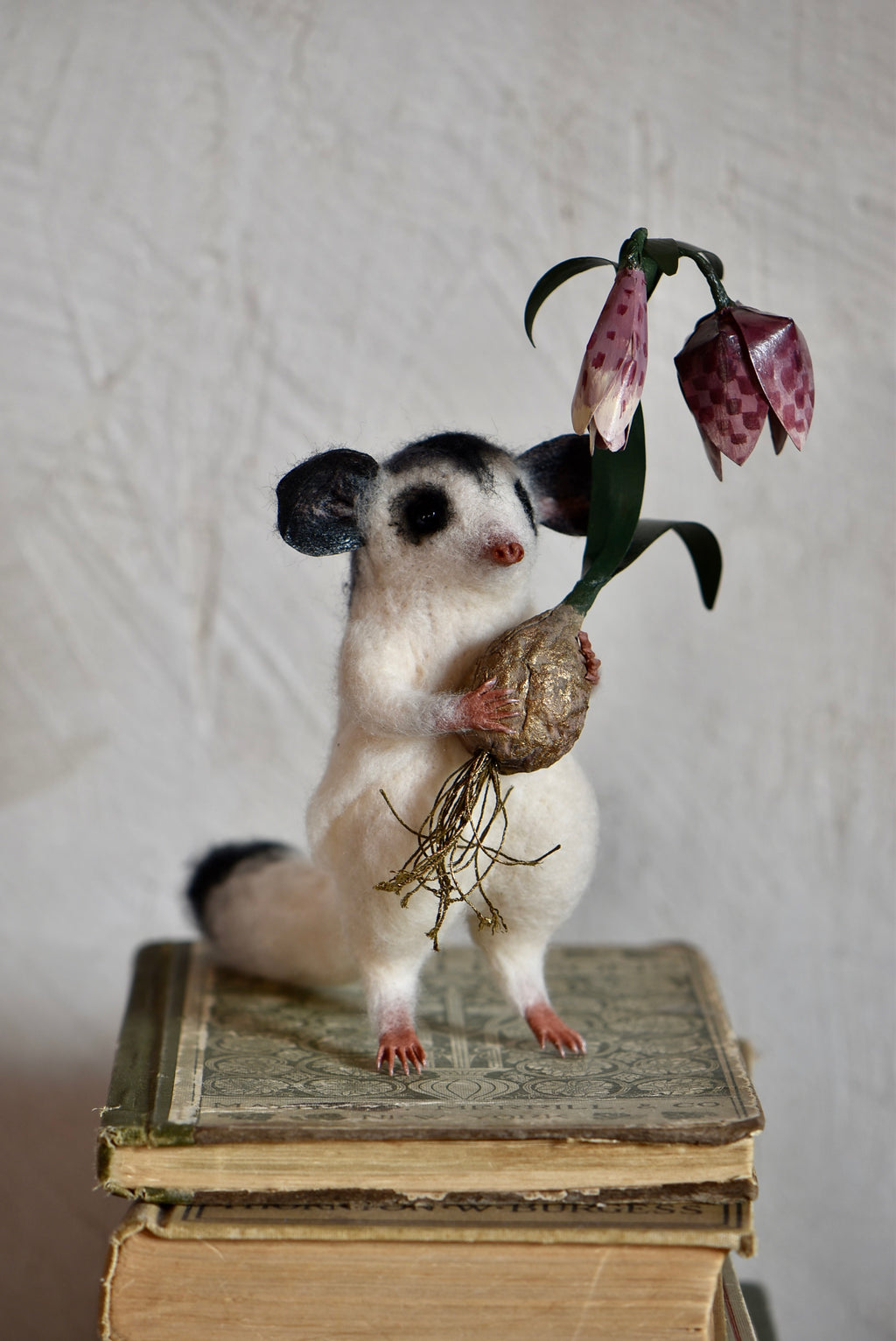 Sugar Glider and Fritillaria