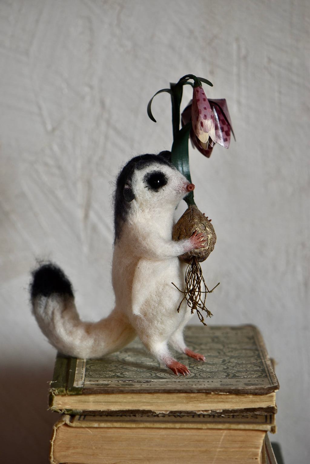 Sugar Glider and Fritillaria