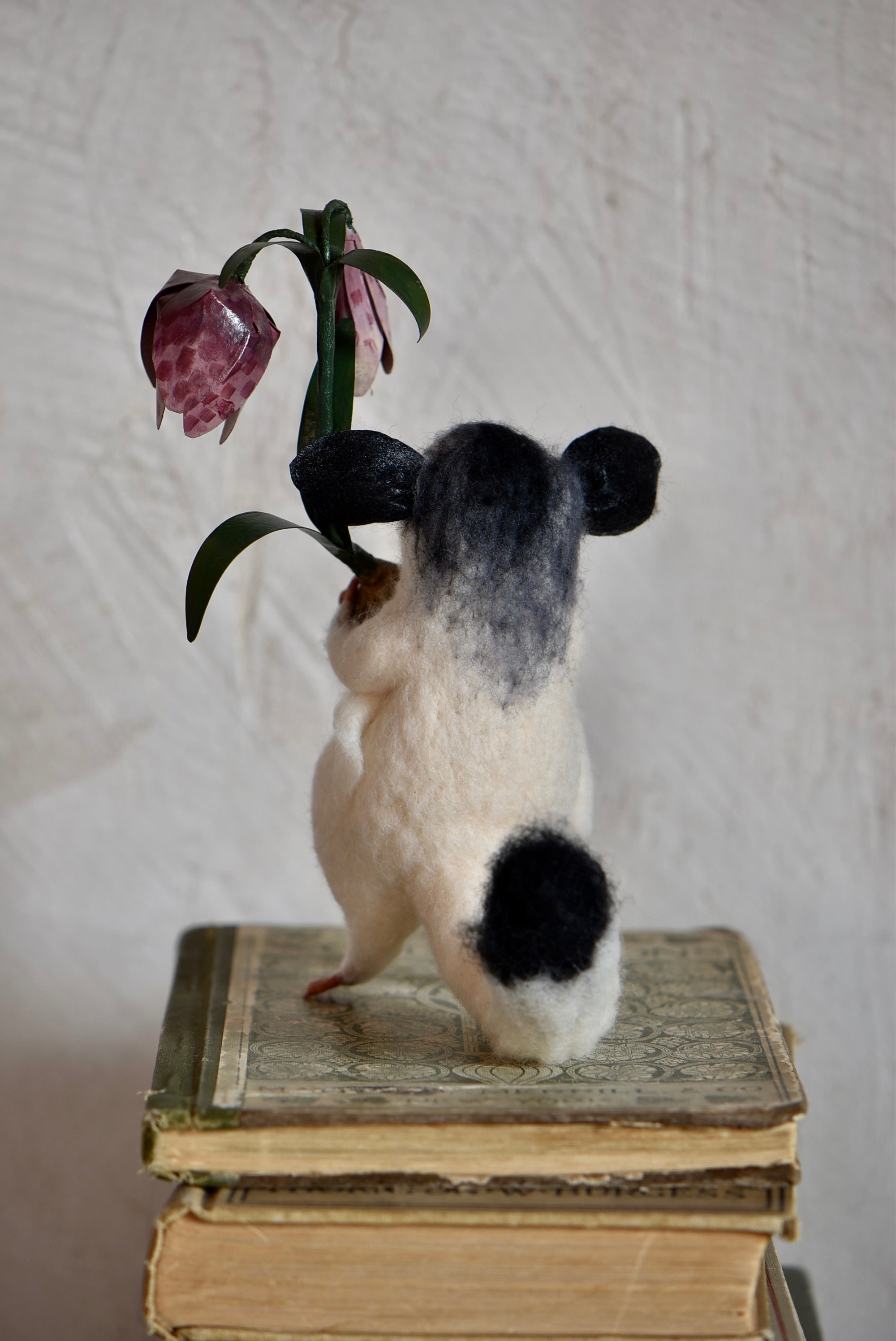 Sugar Glider and Fritillaria