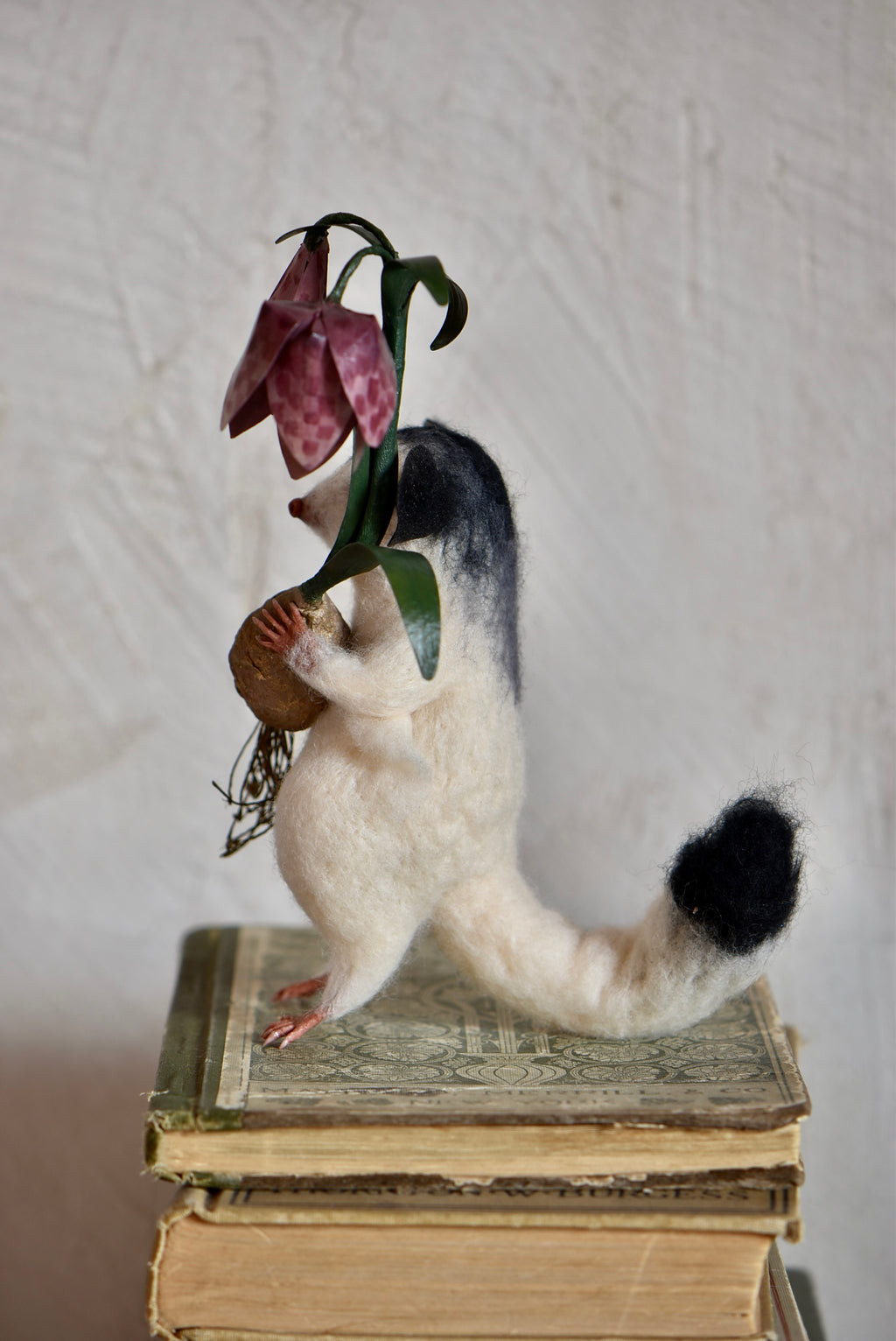 Sugar Glider and Fritillaria