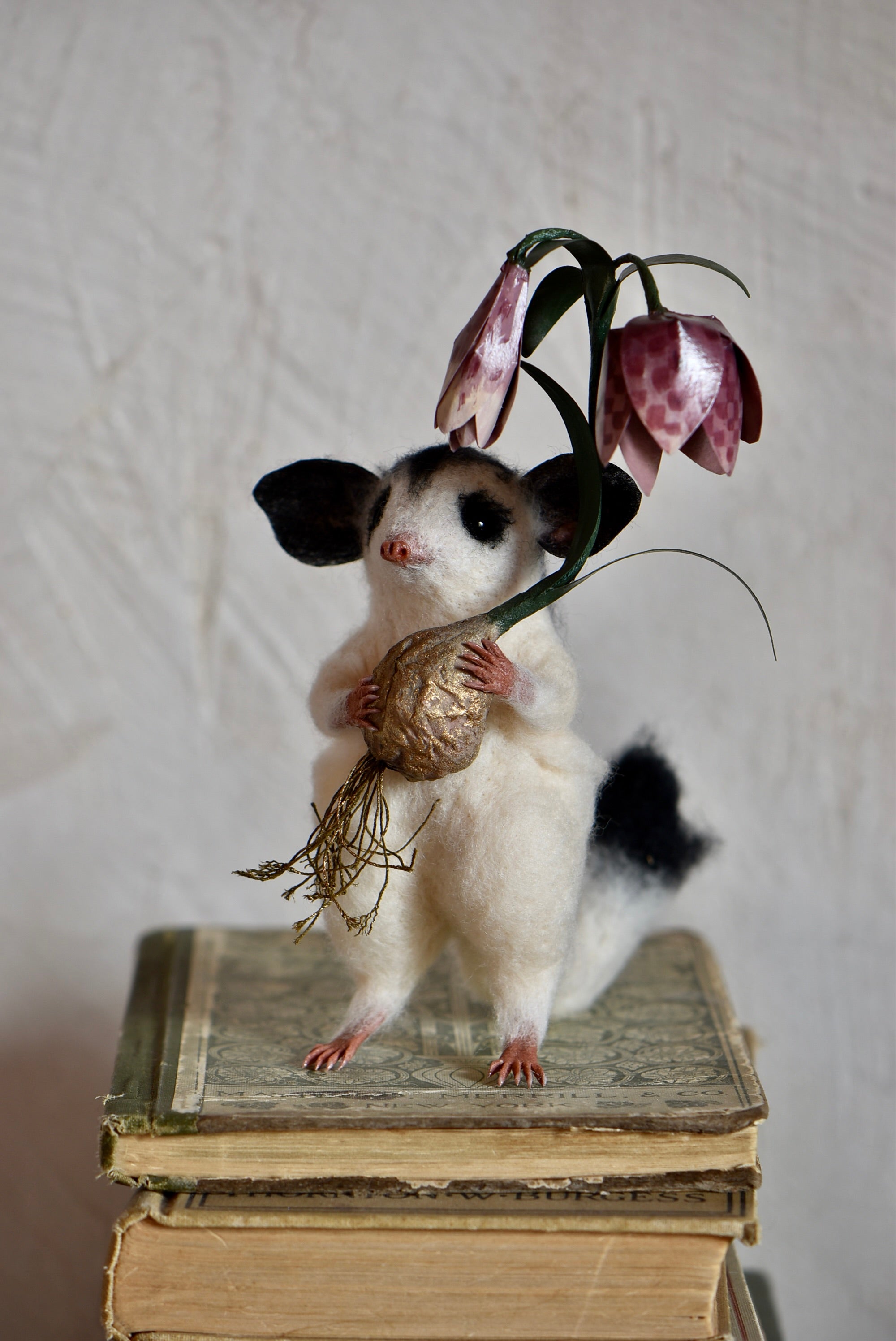 Sugar Glider and Fritillaria
