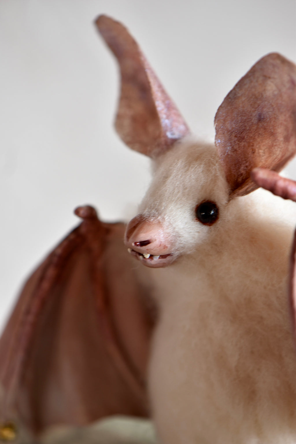 White bat of the Mist