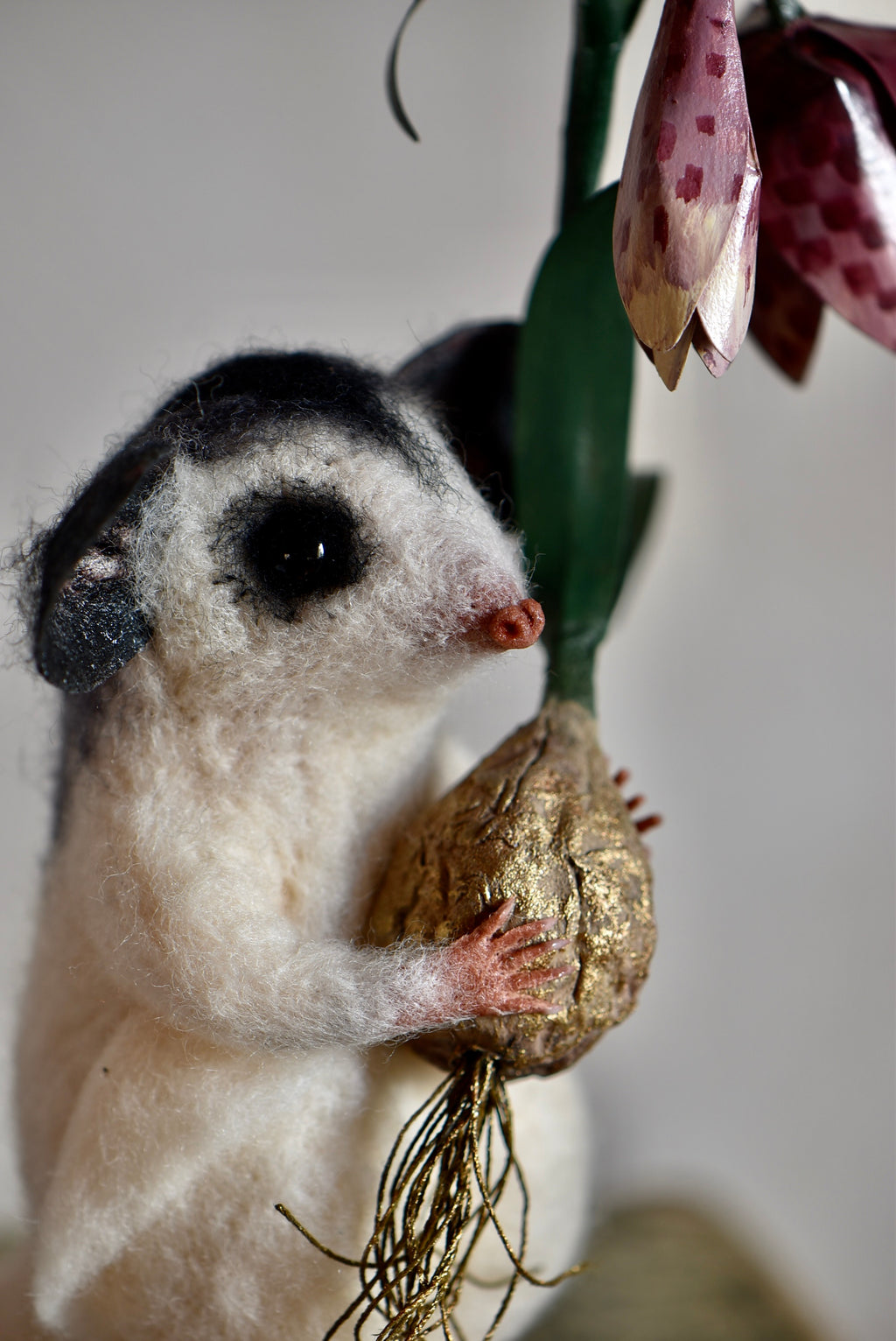 Sugar Glider and Fritillaria