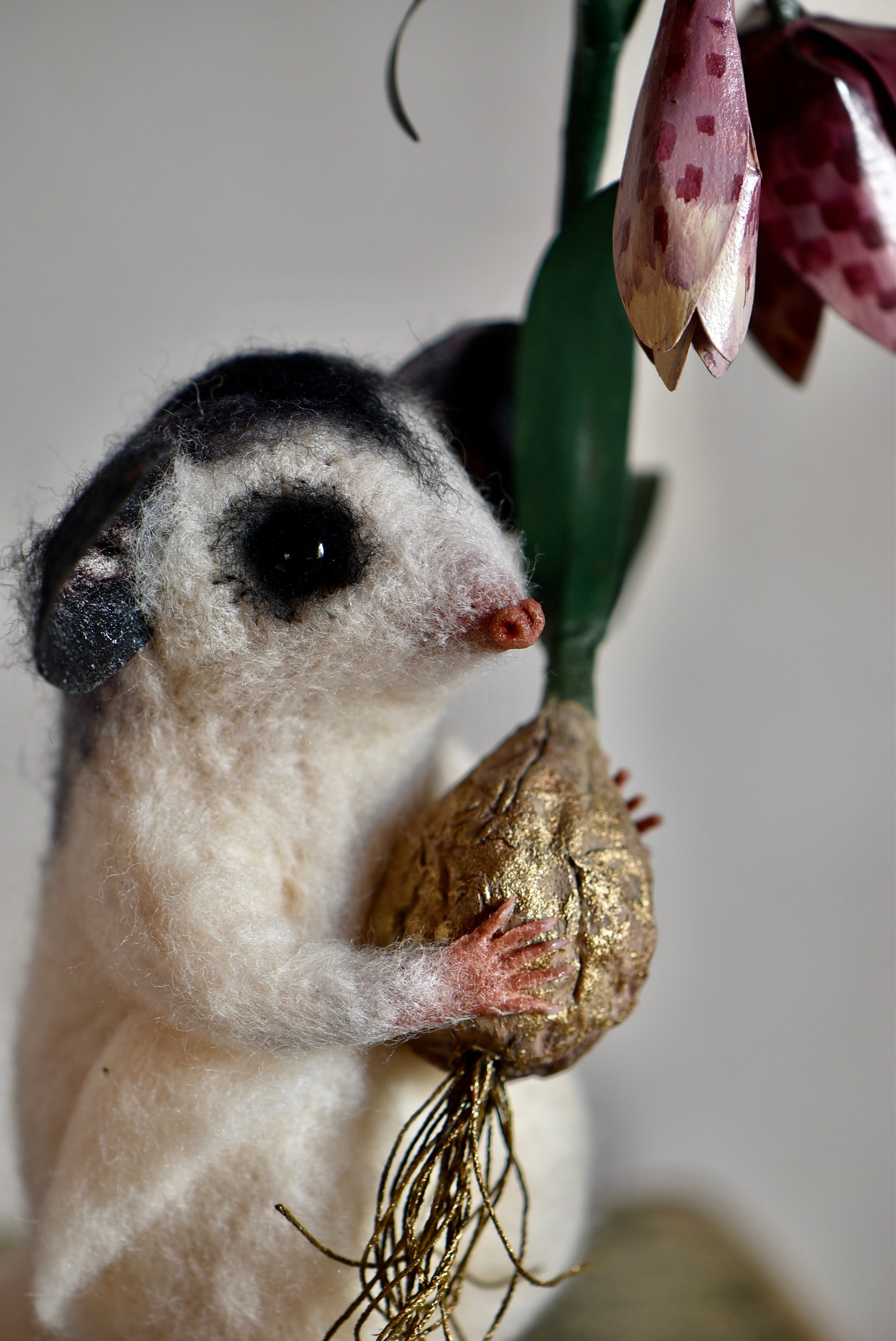 Sugar Glider and Fritillaria