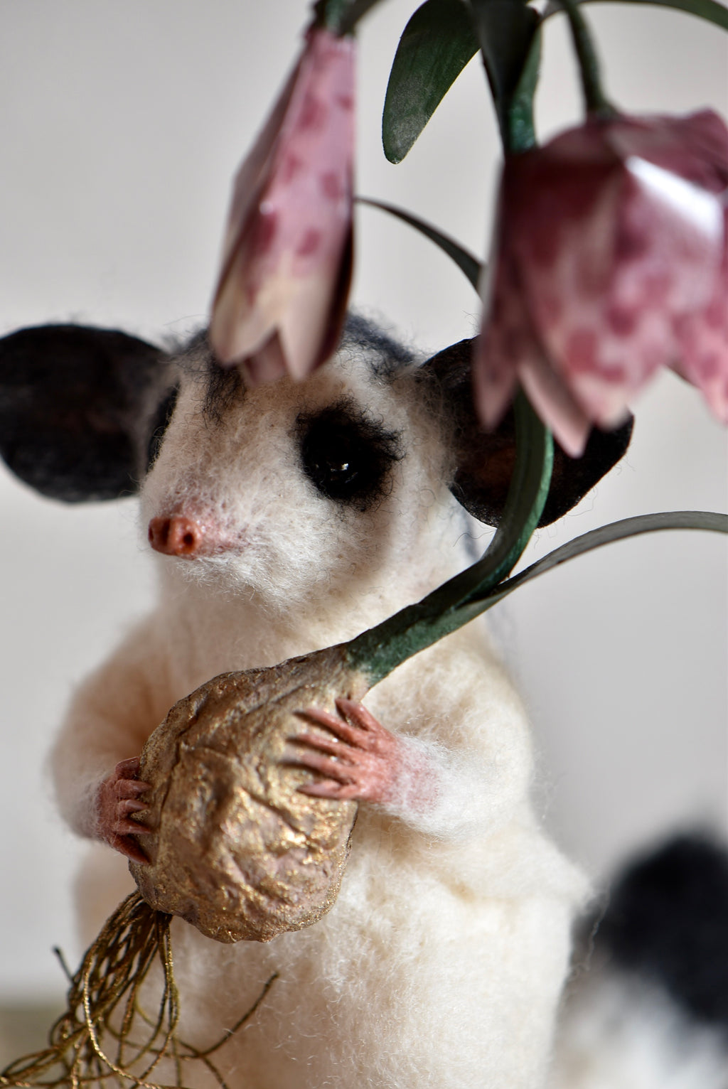Sugar Glider and Fritillaria