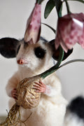 Sugar Glider and Fritillaria