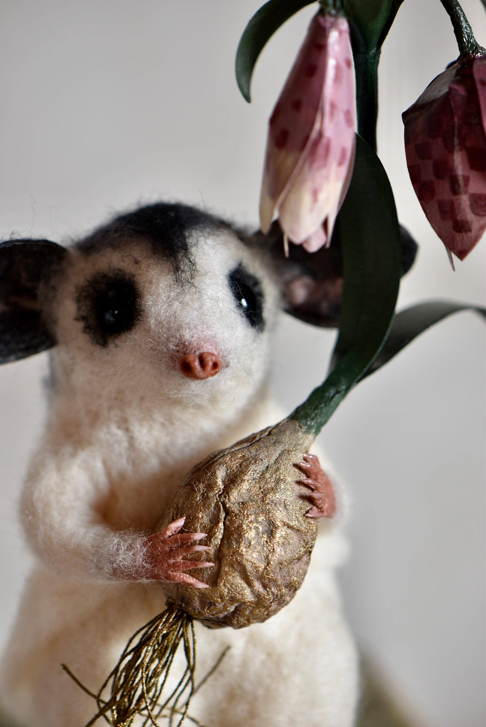 Sugar Glider and Fritillaria