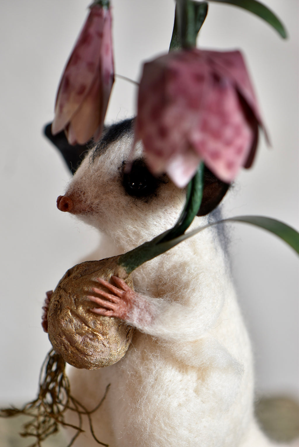 Sugar Glider and Fritillaria