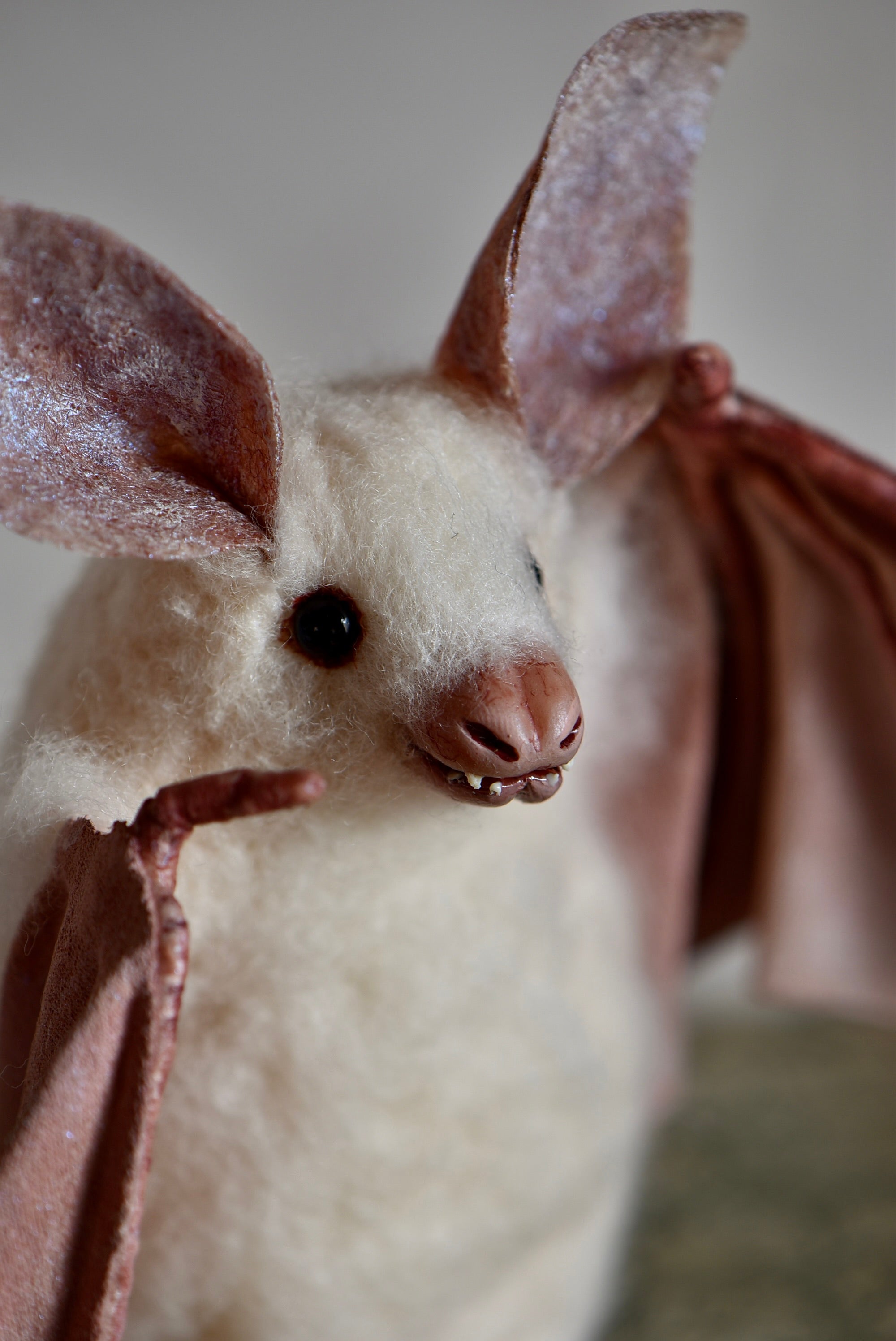 White bat of the Mist