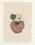 Pumpkin I - Original Gouache Study