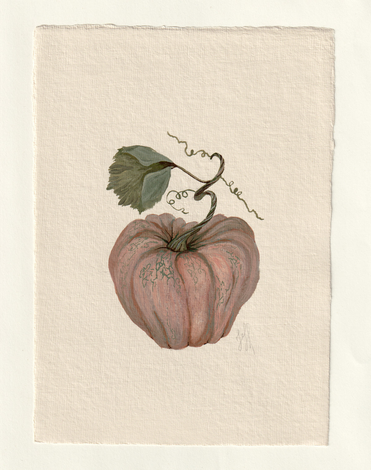 Pumpkin I - Original Gouache Study