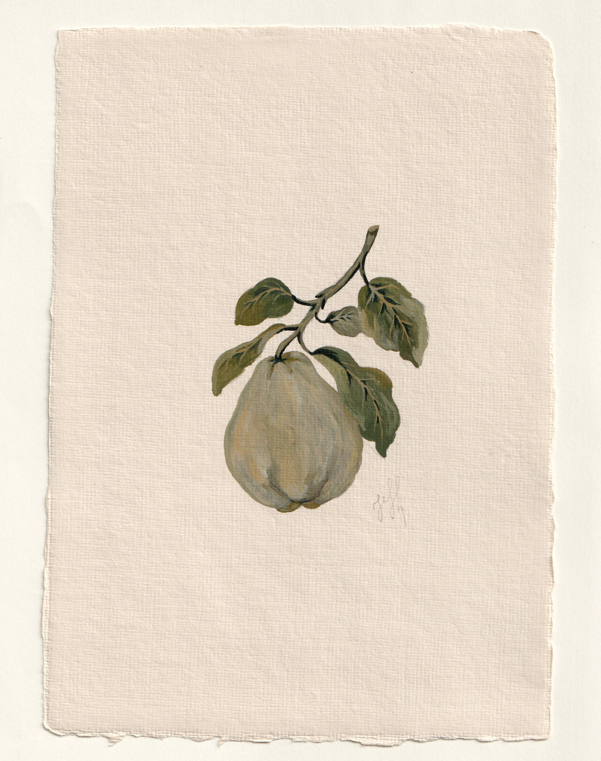 Pear I - Original Gouache Study
