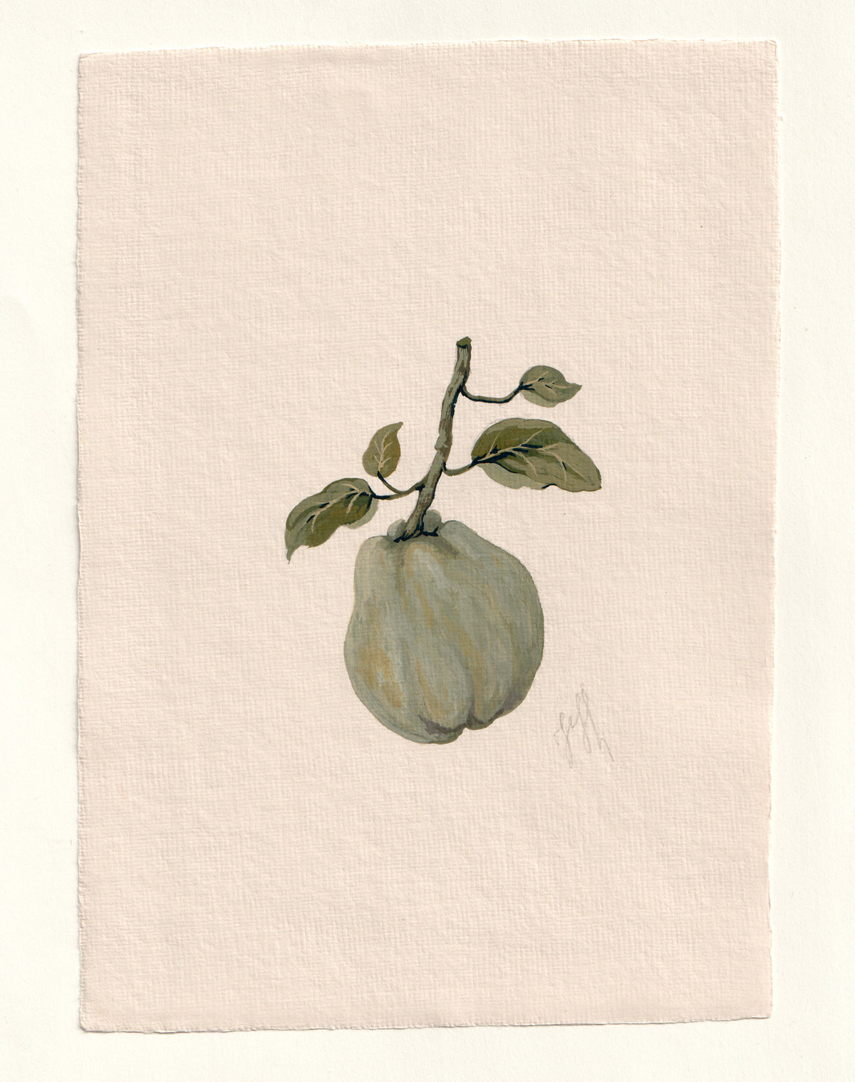 Pear II - Original Gouache Study
