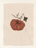 Pumpkin III- Original Gouache Study