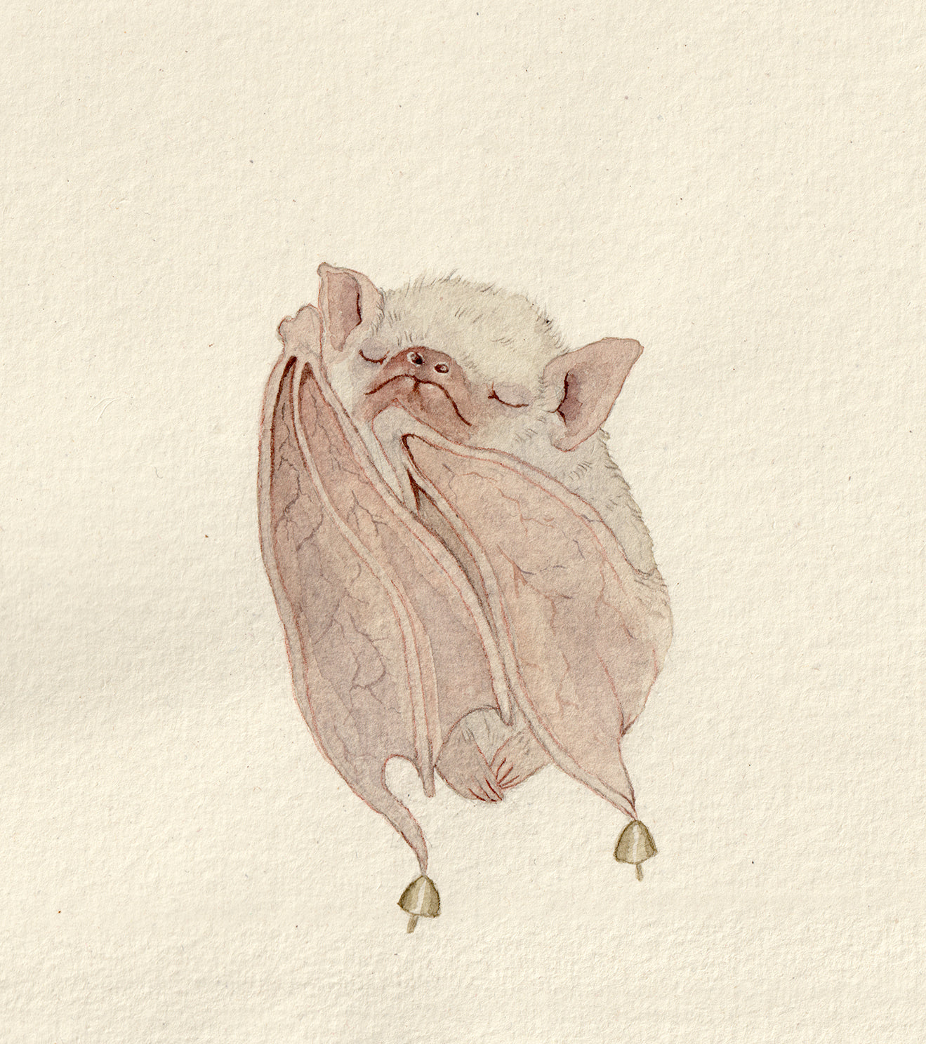 Sleeping Little Bat 2- Original Watercolor Illustration