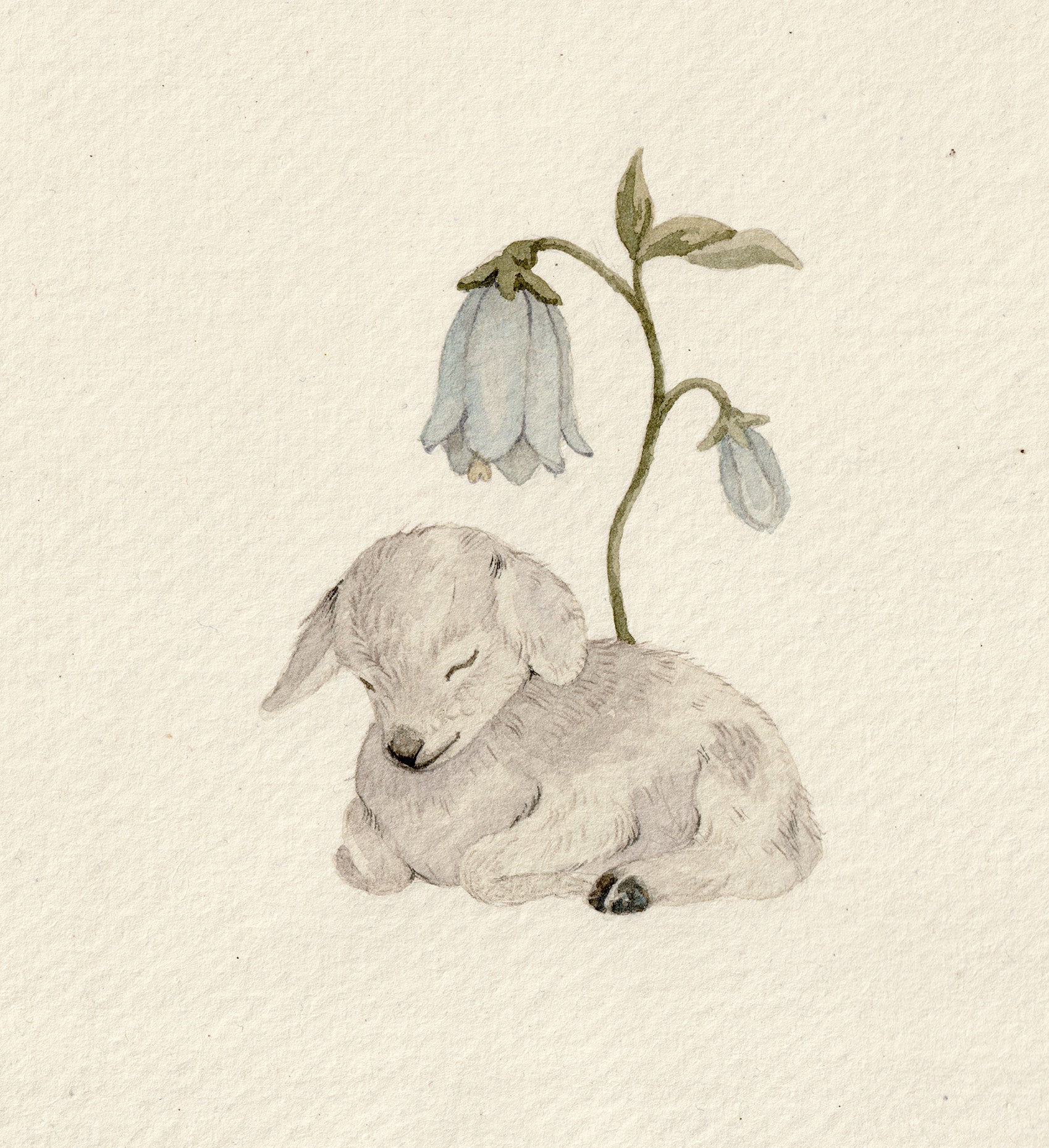 Sleeping Little Goat 2- Original Watercolor Illustration
