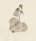 Sleeping Little Goat 1- Original Watercolor Illustration