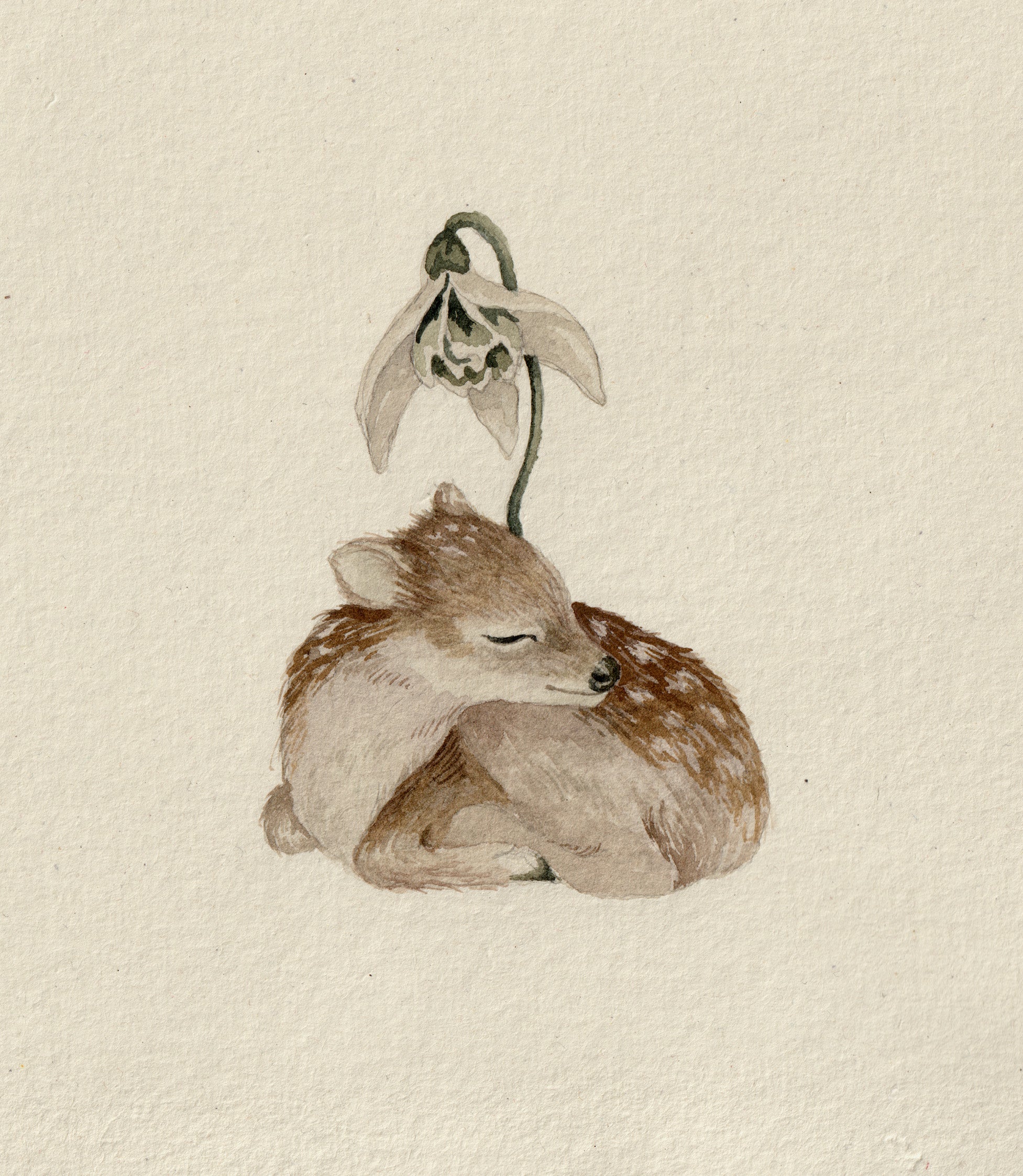 Sleeping Little Pudu 2 - Original Watercolor Illustration