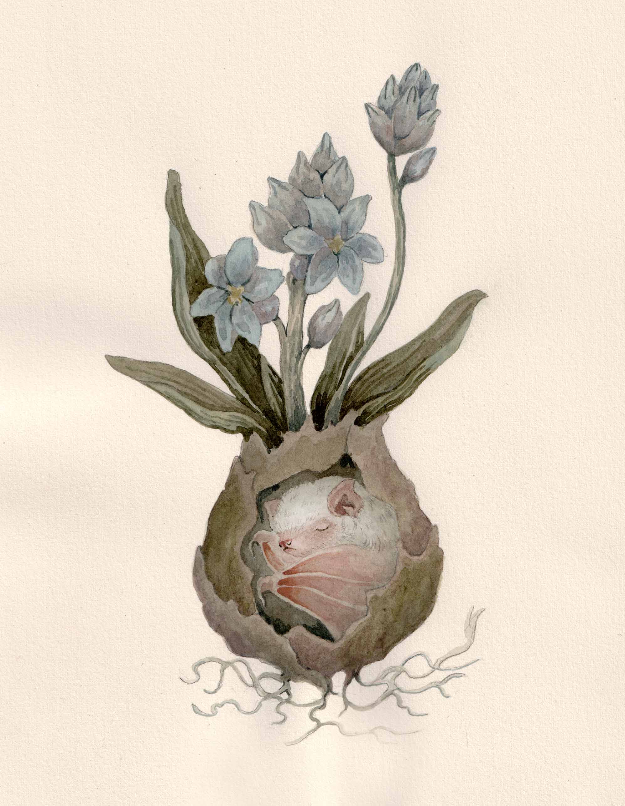 Sleeping Little Bat- Original Watercolor Illustration