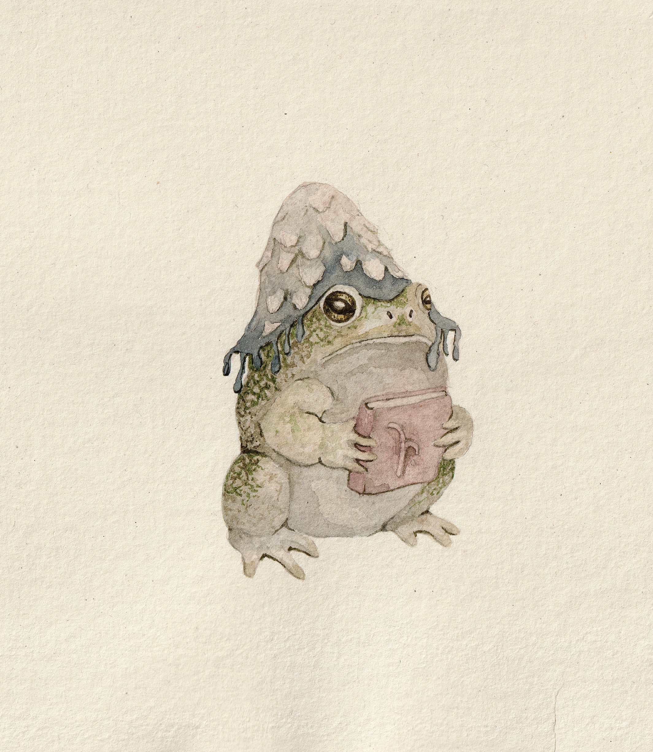 Little Toad and Book - Original Watercolor Illustration